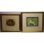 Fidler. A watercolour, robin's eggs in a nest, 4.5in (11.5cm) x 5.75in (14.5cm) and primroses,