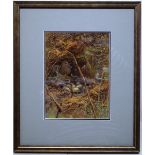 Charles Whymper (signed with initials CW.) A watercolour 1901, a mallard by her nest, 9in (23cm) x