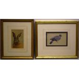 Fidler. A watercolour, study of a hare, 5.5in (14cm) x 3.5in (9cm) and another of a wood pigeon,