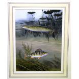 Roger Mcphail original watercolour of a pike and a perch, the Tryon Gallery Ltd label on the