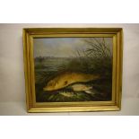 Rolfe. An unsigned oil painting on canvas, a catch of fish, a carp roach and a perch on a river