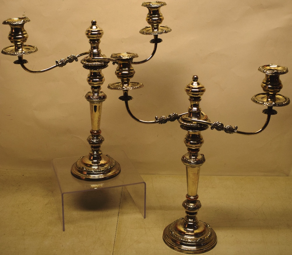 A pair of Regency Sheffield plate candelabra, having egg and dart cowrie shell foliage spray and