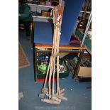 Nine bamboo Polo Sticks (some a/f)