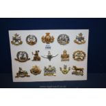 A Board of fifteen British Military Cap badges