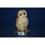 A Wedgwood porcelain Owl,