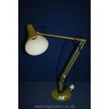 An olive green Angle poise Lamp