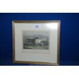 A framed, hand-tinted steel engraving entitled "Welsh Galloways, The property of the Revd. W.