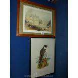 Two Prints - Petra El Deir by David Roberts and a Peregrine Falcon, by David Roberts.