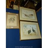 Three South African Bird Prints - limited edition print of Ducks by Priscilla Henry,