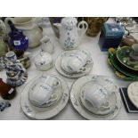 A VILLEROY AND BOCH FIFTEEN PIECE COFFEE SET