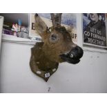 TAXIDERMY DEER'S HEAD