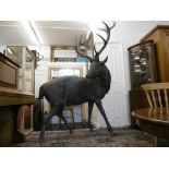 A LIFE SIZED BRONZE SCULPTURE OF A STAG,