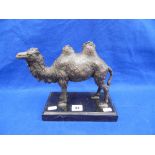 A BRONZE SCULPTURE OF A CAMEL