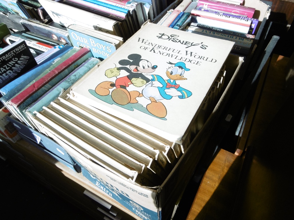 A SET OF TWENTY DISNEY WONDERFUL WORLD OF KNOWLEDGE BOOKS