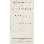 Amerika - Paraguay - - Rengger, Johann Rudolf. Naturgeschichte der Saeugethiere von Paraguay. Basel,