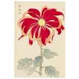 Asien - Japan - - Hasegawa, Keika. Keika hyaku kiku (Die 100 Chrysanthemen von Keika). 1. (von 4)