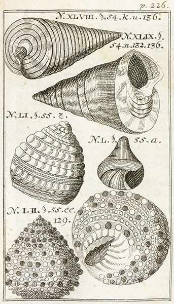 Biologie - Zoologie - - Lesser, Friedrich Christian. Testaceo-Theologia, Oder: Gründlicher Beweis - Image 2 of 3