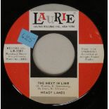 HOAGY LANDS - THE NEXT IN LINE 7" (LAURIE LR-3381).