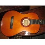 Acoustic Hi Spot guitar