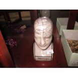 Phrenology pottery head