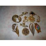 Costume jewellery : Brooches