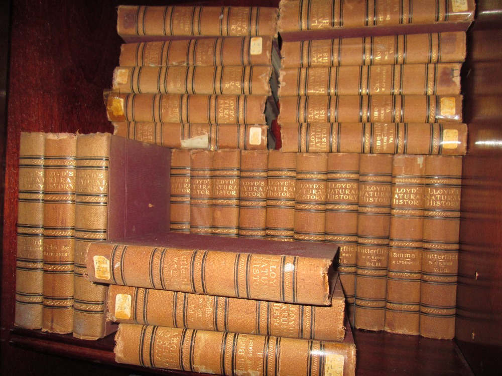 9 x shelves of books : Lloyds Natural History, - Bild 2 aus 10