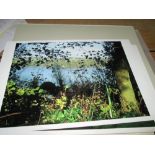 Folio of photographs by Mary Beresford Williams unmounted and unframed,