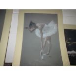 Ballerina print (new sealed)