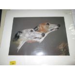 Dog print (new sealed)
