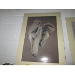 Horse print (new sealed)