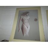 Life study print (new sealed)