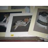 2 x Dog prints & 3 x Ballerina prints (new sealed)