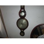 19th century mahogany banjo barometer