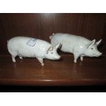 Beswick pigs : Wall Champion Sow and Boar