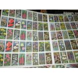 3 x Sheets of uncut Wills Cigarette cards Wild Flowers on sheets