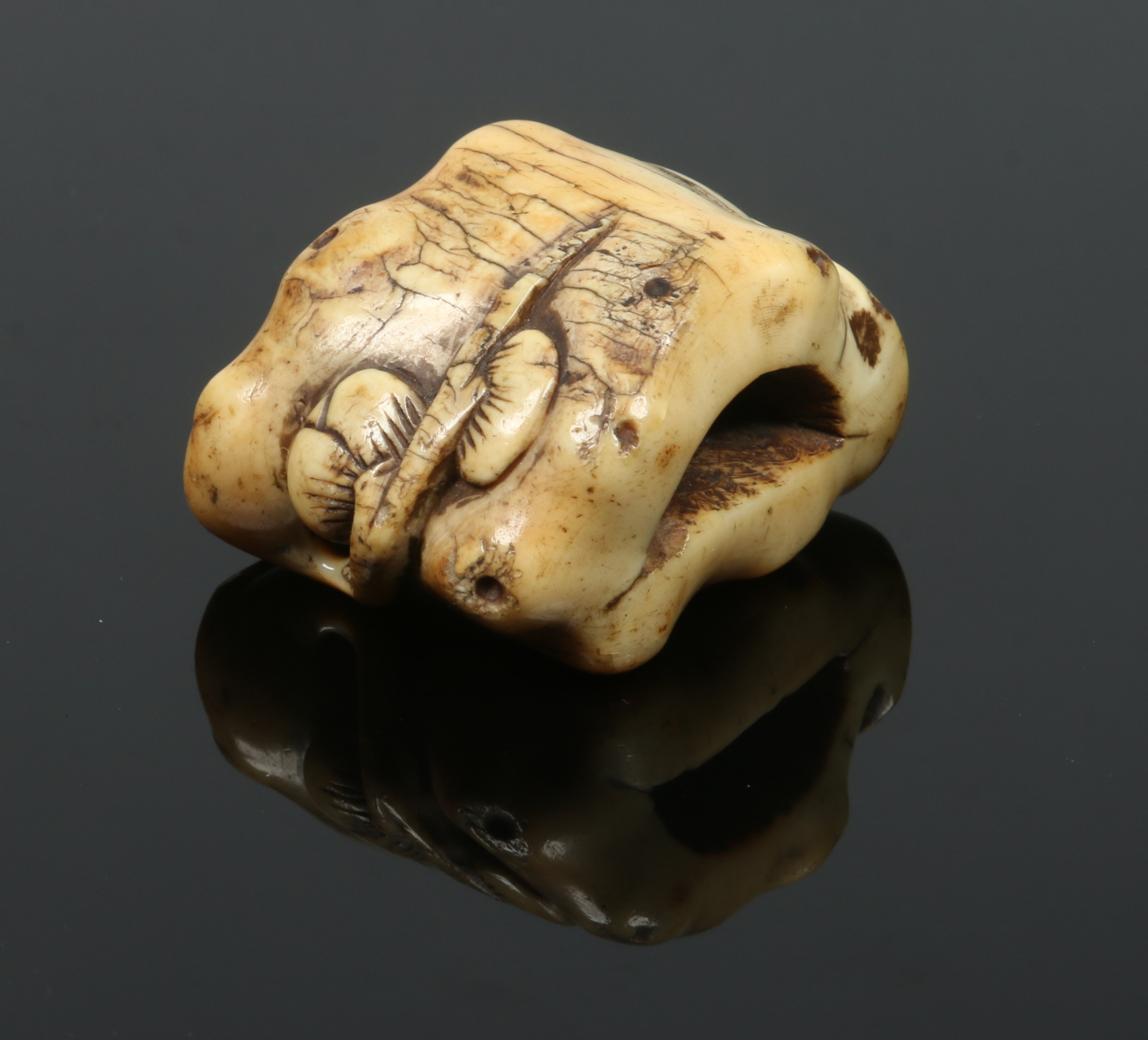 A Japanese early 19th century carved ivory netsuke. Formed as a lotus root issuing plants, 3.