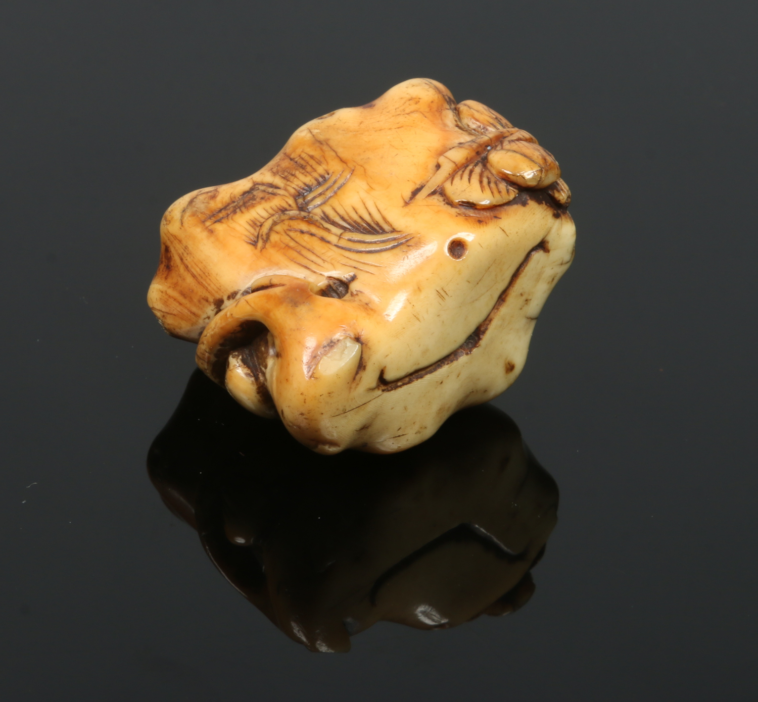 A Japanese early 19th century carved ivory netsuke. Formed as a lotus root issuing plants, 3. - Image 2 of 2