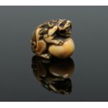 A Japanese Edo period carved ivory netsuke. Formed as a shi shi dog guarding a pearl, 3.25cm.