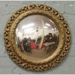 A decorative gilt framed convex mirror.