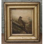 A vintage gilt framed oil on canvas study of a thrush song bird unsigned.