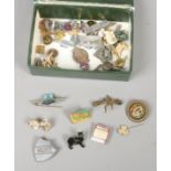 A box of assorted pin badges including enamel examples.