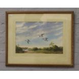 Winston Megoran, a framed watercolour titled Guillemots.