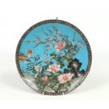 A Japanese Meiji period cloisonne dish. Blue ground and decorated with a crane in a floral