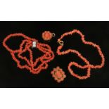 A Regency coral four row bracelet with white paste clasp, a coral necklet, brooch and locket back