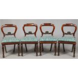 A set of four William IV rosewood balloon back dining chairs. With turned tapering supports carved