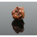 A Japanese carved fruitwood netsuke. Formed as a rat curled into a ball, with glass inset eyes and