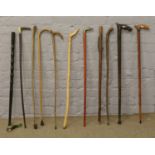 A bundle of walking sticks to include brass duck heads, horn handle and curved handle examples.