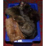 A box of furs to include cape, stoles etc.