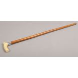 An antique Malacca walking stick with silver collar and ivory handle.
