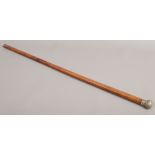 A wooden walking cane with white metal pommel.